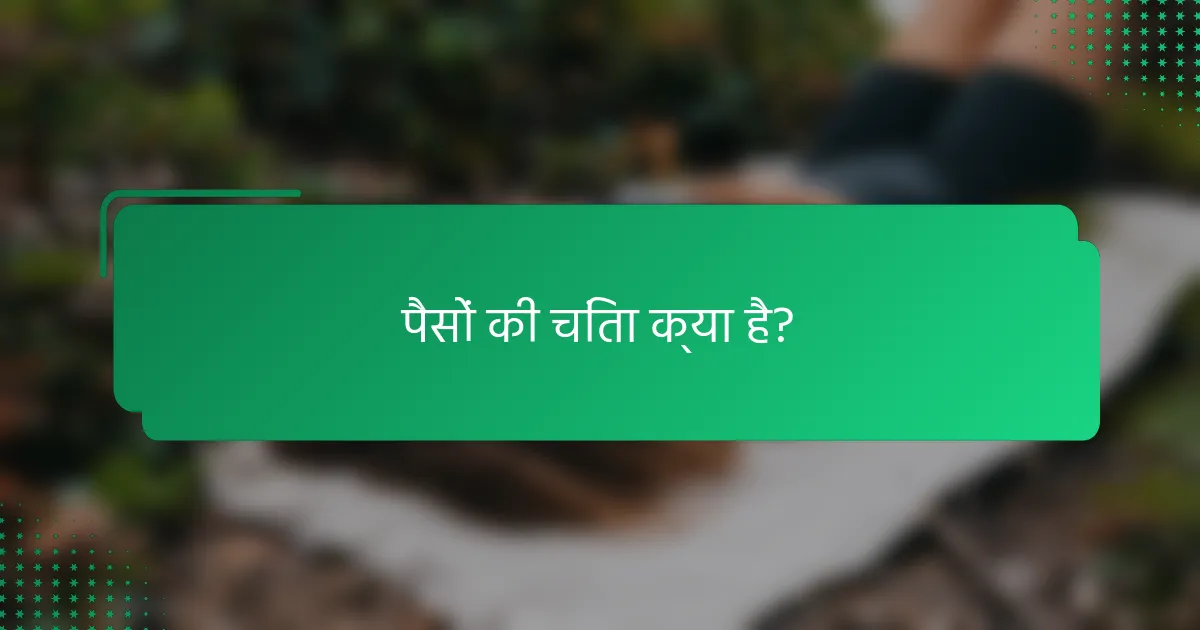 पैसों की चिंता क्या है?